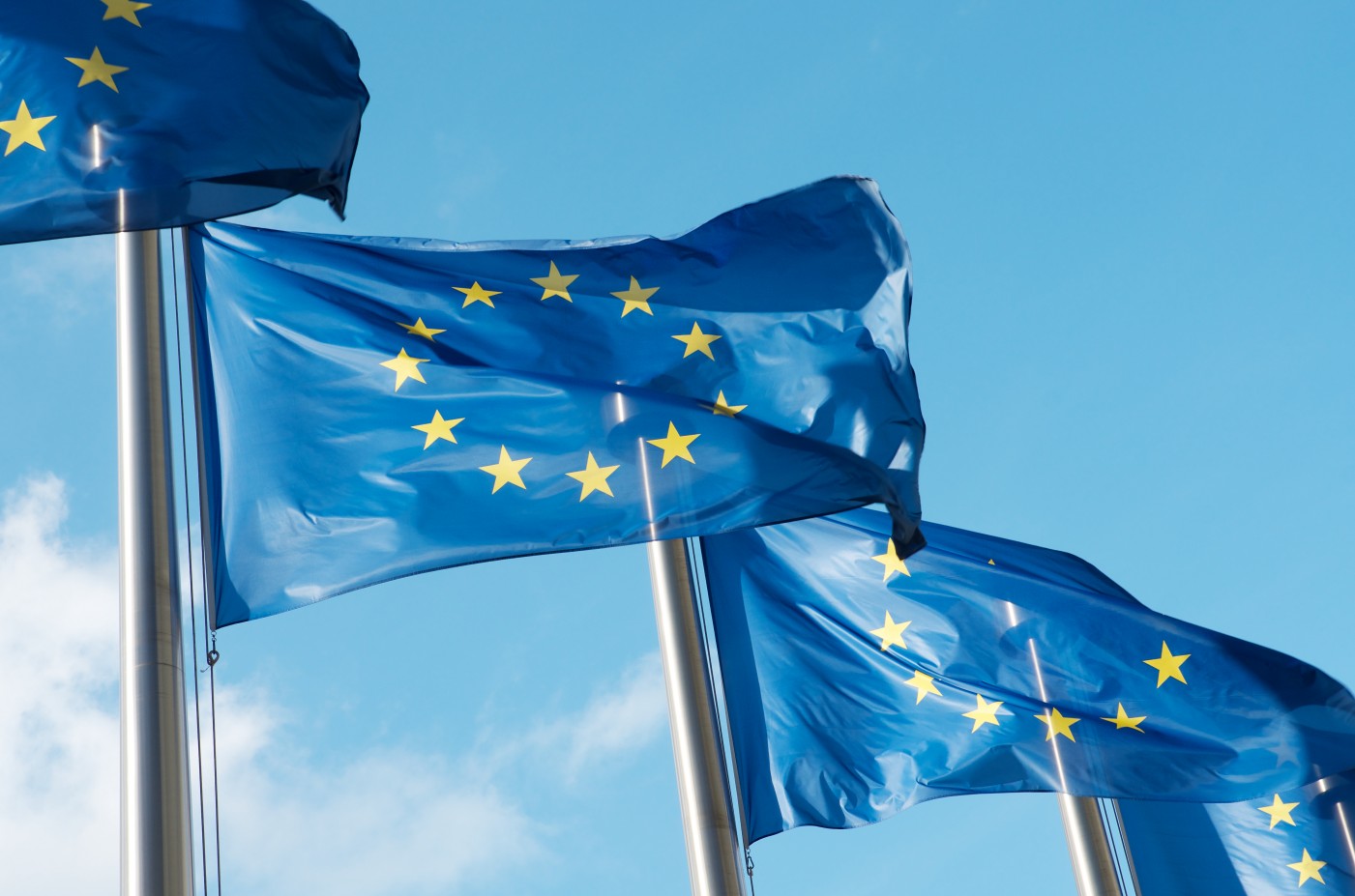 Row of blue European Union flags in Brussels. The blue flags have twelve yellow stars depicting the original number of member states